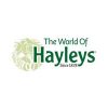 hayleys